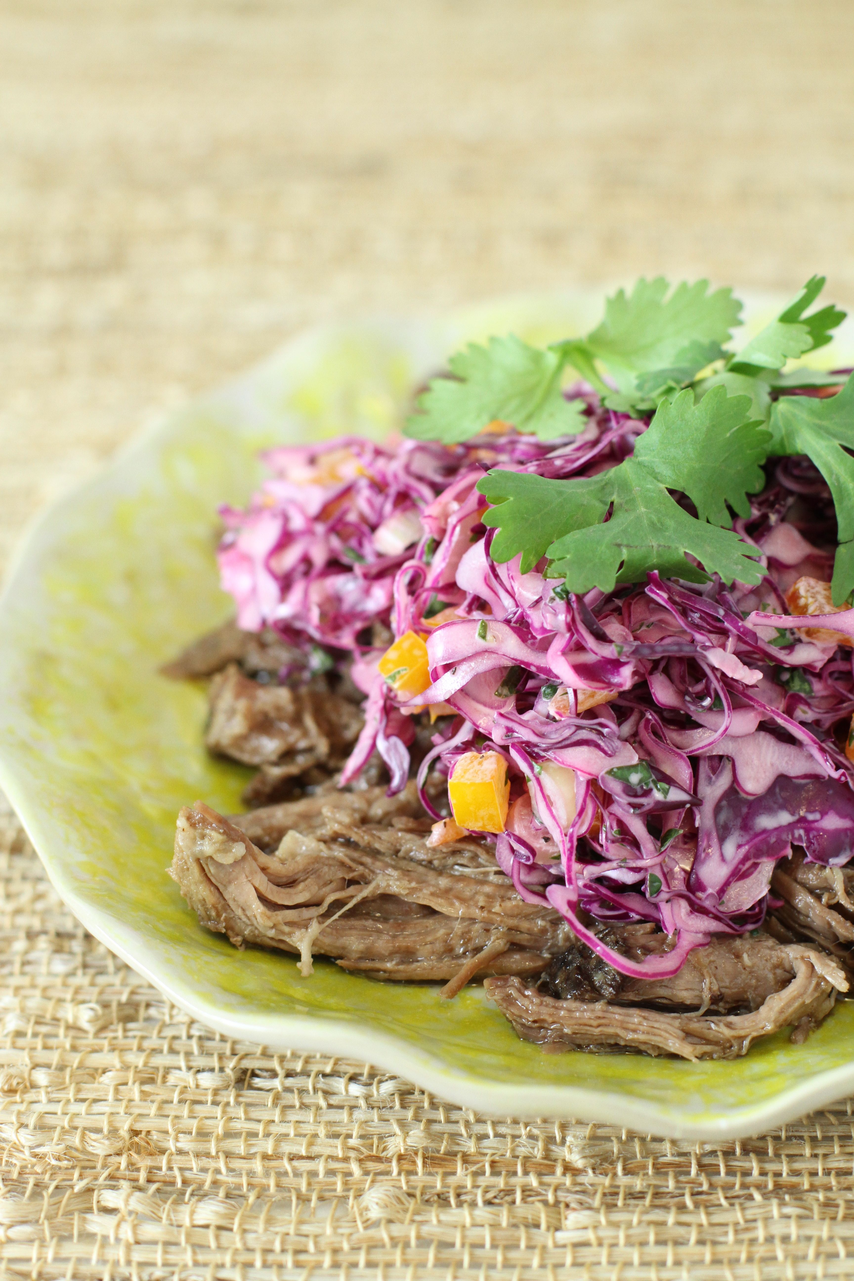 Red Cabbage Slaw with Shredded Beef | FoodFash