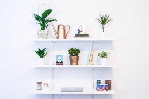 Bookshelf Desk with Plants Labeled
