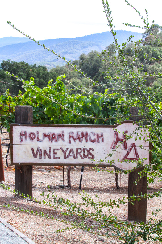 Hollman Ranch Vineyards Sign FoodFash