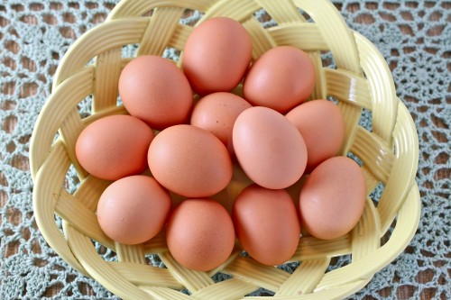 Brown Eggs