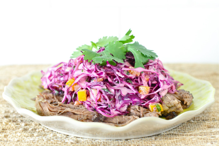 Permalink to: Shredded Beef With Red Cabbage Slaw