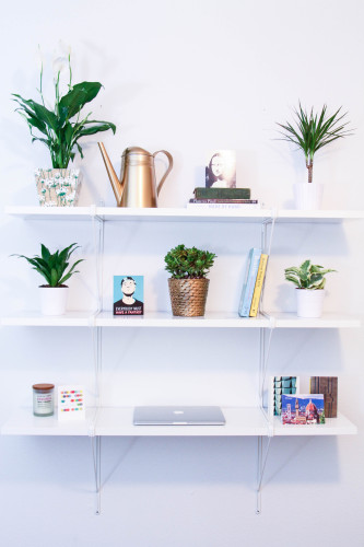 Bookshelf Desk with Plants