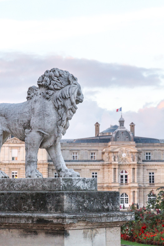 Le Jardin du Luxembourg - Lion