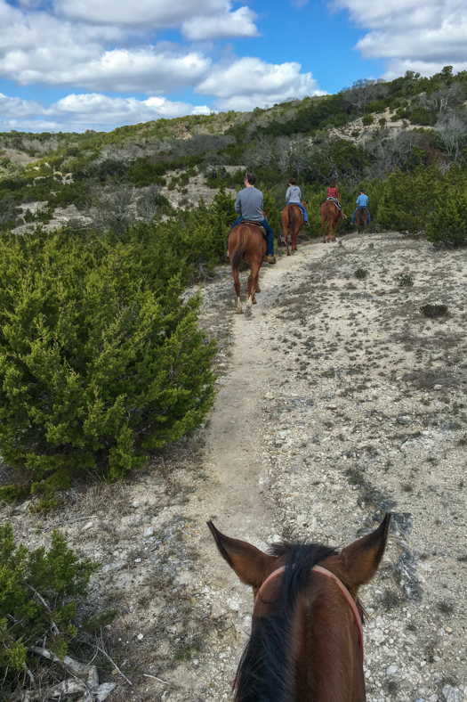 Tapatio Springs - Horseback Riding_